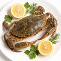Fresh-Frozen Mud Crab