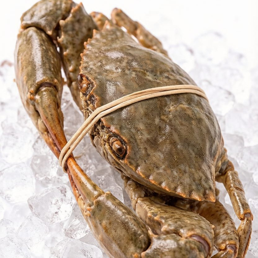 Fresh-Frozen Mud Crab
