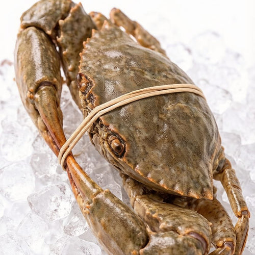 Fresh-Frozen Mud Crab
