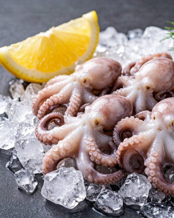 Fresh-Frozen Baby Octopus
