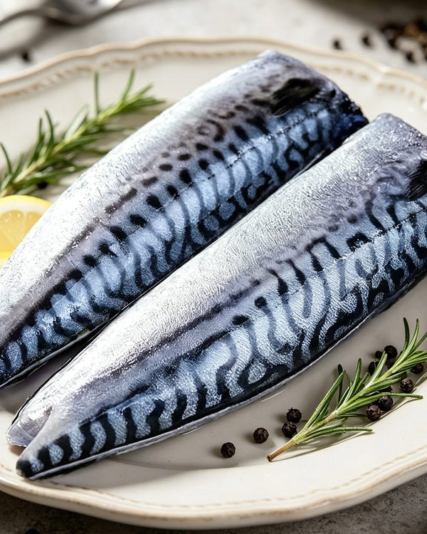 Frozen Boneless Mackerel Fillets